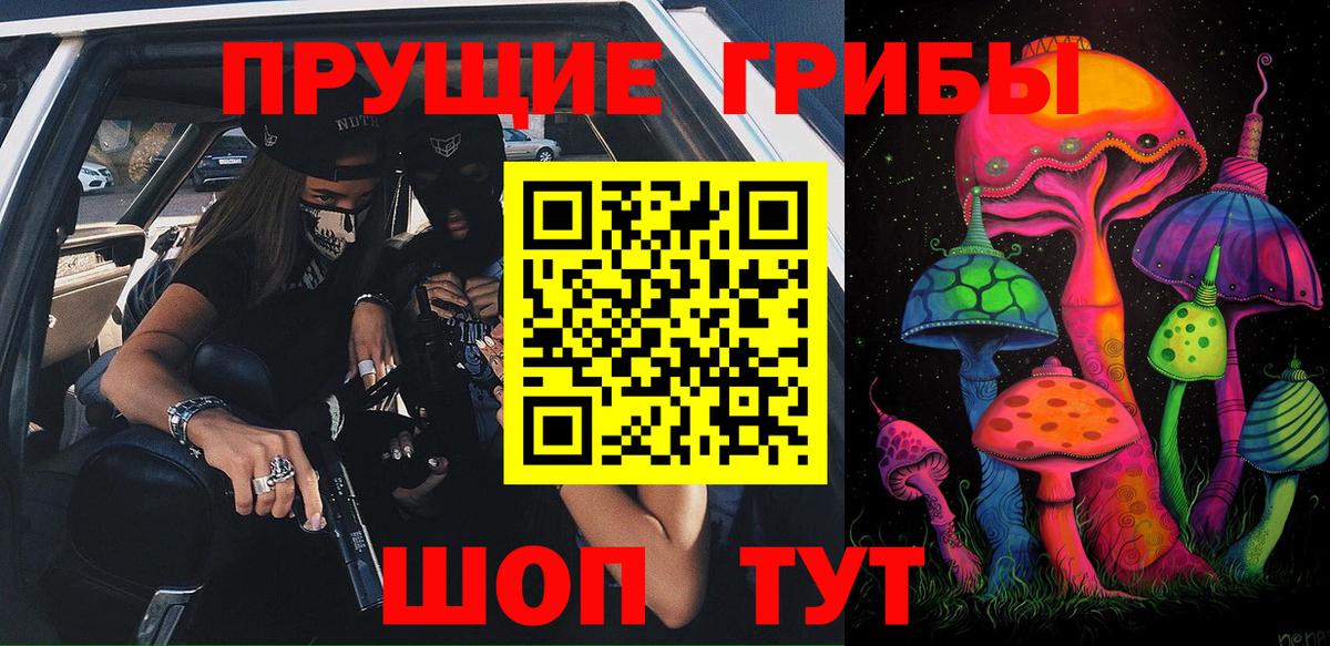 Вязники  купить наркоту  Вход с VPN  Псилоцибиновые грибы Psilocybine cubensis 